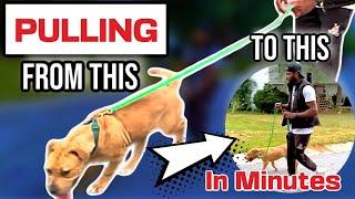 Leash Pulling? The Collar That Keeps Your Dog In Check! RESULTS