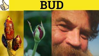  Bud - Budding - In the Bud - Nip in the Bud - Bud Meaning - Nip In the Bud Definition - Budding