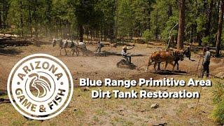 Cow Canyon Dirt Tank Restoration