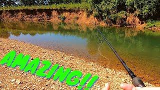 Fishing an INCREDIBLE!! Creek for Big Smallmouth and Rock Bass (PB)