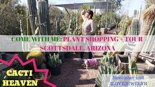 Come with me: Plant shopping + tour  | Scottsdale, Arizona | November  2018 | ILOVEJEWELYN