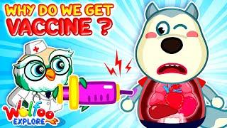 Everybody Needs Shots?! - Vaccine  Wolfoo Explore - Human Body | Educational Videos for Kids