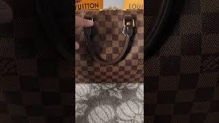 Why The Louis Vuitton Damier Ebene Canvas Is My Favorite | Demonstration Edition