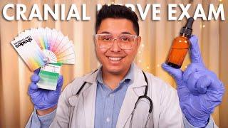 ASMR | The Chillest Cranial Nerve Exam | Cure Your Insomnia