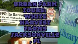 URBAN FARM TOURS 2022: WHITE HARVEST FARMS JACKSONVILLE FL #farmtours #urbanfarms #nonprofitfarms