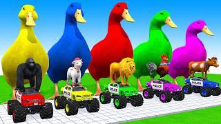 5 Giant Duck Cartoon, Cow, Elephant, Tiger, Dinosaur, Paint Wild Animals Crossing Fountain Animation