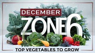 Top Vegetables to Grow in December for Zone 6: Winter Gardening Success