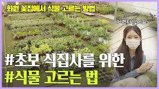 [갑조네TV] 화원 꽃집에서 식물 고르기 어려우셨다고요? 초보 식집사분들을 위해 갑조네에서 준비한 식물 고르는 꿀팁 대공개!