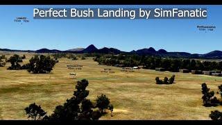 Perfect Bush Landing by SimFanatic