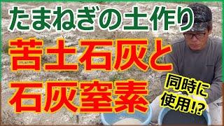 【たまねぎの土作り】苦土石灰と石灰窒素を使う理由