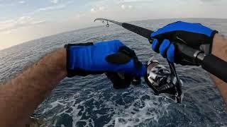 Shore Jigging - Mahi Mahi and Albacores