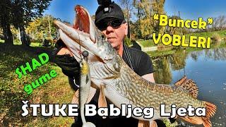 Pike in the Indian Summer / Effzett Shadster Slim_JIGGing fishing & MADCat Tight-S Deep wobbler  