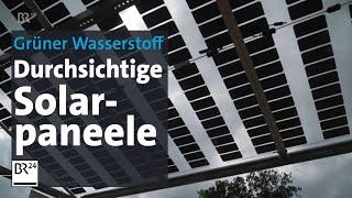 Grüner Wasserstoff durch durchsichtige Solarpaneele über den Haselnussfeldern | BR24