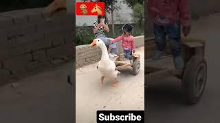 lakdi ki Kathi #shorts #trending #ishika baby vlogs #cute baby