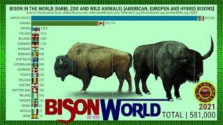 BISONS IN THE WORLD BY COUNTRY #CityGlobeTour