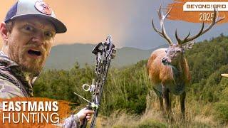 3 Red Stags in 3 days! Bow Hunting New Zealand | Beyond the Grid Eastmans'