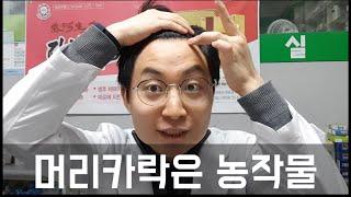 약사가 쉽게 설명하는 탈모약 & 주의사항 - 판시딜/마이녹실/프로페시아