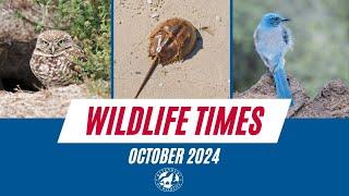 October Wildlife Times