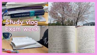 STUDY VLOG | exam week | 대학원생 인생의 마지막 종합시험 준비