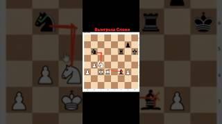 Выигрыш слона  Отрывок занятия. #chess777 #chess #обучение