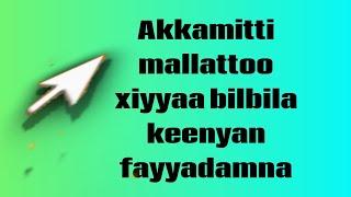 Akkamitti mallattoo xiyyaa bilbila keenyan fayyadamna video HD 2015/2023