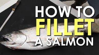 How to Fillet a Salmon | The Art of Manliness