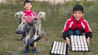 Bac's survival skills: Using nets to trap fish, harvest eggs of ducks laid wild in a large stream.