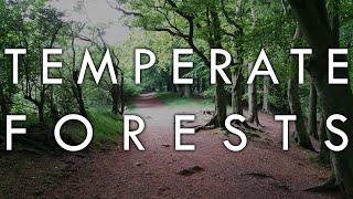 The Temperate Forest Biome - Biomes#6