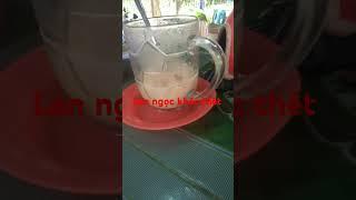 Lan ngọc khóc thét #viecomedy #7nucuoixuan #7nucuoixuanmua7 #shortvideo #funny #stitch #haihuoc