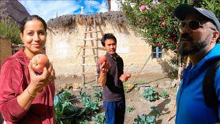 रेगिस्तान में उगते हैं सेब यहां.. Best HomeStay experience, Cold desert Village in Apple Valley