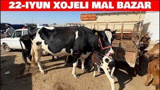 22-ИЮНЬ/ХОЖЕЛИ МАЛ БАЗАРЫ/СКОТНЫЙ РЫНОК/BUQALAR/BIG BULLS IN THE WORLD/BIG COW