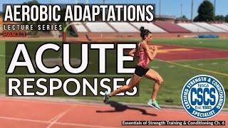 Acute Responses to Aerobic Training | CSCS Chapter 6