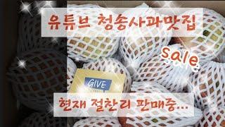 청송사과판매 청송사과맛집 유튜브맛집 많이 구매해 주셔서 감사합니다.