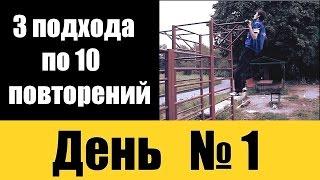 3 подхода по 10 повторений (Подтягивания) - День №1