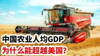 龙哥时评：中国农业人均GDP为什么超越美国？