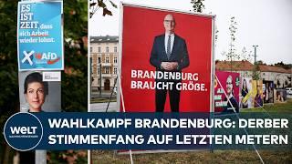 ELECTIONS IN BRANDENBURG: “Abolish the right to asylum” “limited freedom of expression” & SPD vs AFD