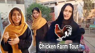 Aj Chicken Farm Ka Tour Ker Lia  | Halima Sadia Vlogs