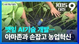 깻잎 AI기술 개발…아마존과 손잡고 농업혁신 / KBS  2022.07.24.