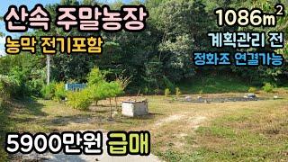 (매물번호13612) 5900만원 보은부동산 1086㎡(329) 보은땅 보은토지매매매물 청주부동산 청주토지 시골땅 촌땅 싼땅 급매 농막 주말농장 전원주택지 집터 대전부동산 대전토지