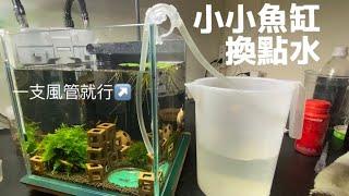 小型蝦缸日常換水，小水體魚缸換水方法｜蝦蝦泥悶好嗎：004