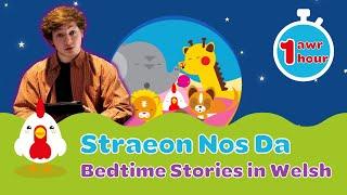 Straeon Amser Gwely Cyw | 1 Hour of Welsh Bedtime Stories