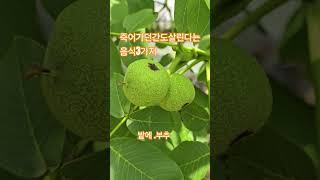 죽어가던간도살린다는최고의음식 3가지 칡.부추 돌미나리
