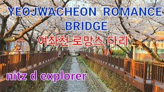 #Exploring Yeojwacheon Romance Bridge #CherryBlossom @Jinhae #YeojwacheonStream