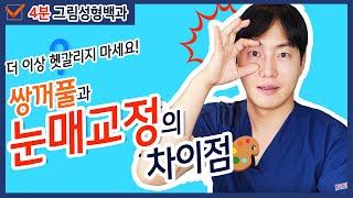 [ENG/눈성형] 4분만에 알려드리는 쌍꺼풀과 눈매교정의 확실한 차이!  더 이상 헷갈리지 마세요~  [디오 그림성형백과]