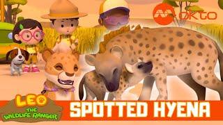 Zumi Finds BABY HYENA Adventure | Leo the Wildlife Ranger Spinoff S6E12 | @mediacorpokto