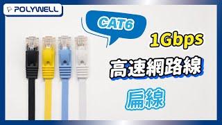 CAT6 1Gbps 高速網路線 扁線｜POLYWELL 寶利威爾