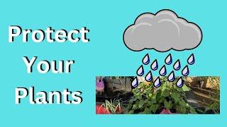 Protecting Your Plants From Changing Weather