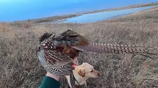 2020 SD Public Land with My Daughter 11-08