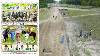 Horse Race in Pakistan position | Qureshi Production