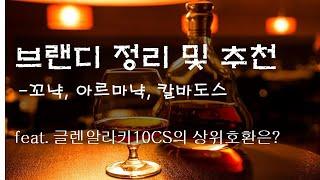 [브랜디를 정리 및 추천] 꼬냑, 아르마냑, 깔바도스를 소개하는 영상 및 쉐리 위스키 대안 알려줌